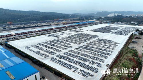 西南最大铁路商品汽车物流基地建成投用 助力区域经济发展