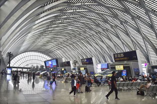 前三季度铁路客货运量创新高，货机车配件需求持续攀升